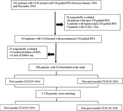 Ten-Year Outcomes of Percutaneous Radiofrequency Ablation for Colorectal Cancer Liver Metastases in Perivascular vs. Non-Perivascular Locations: A Propensity-Score Matched Study